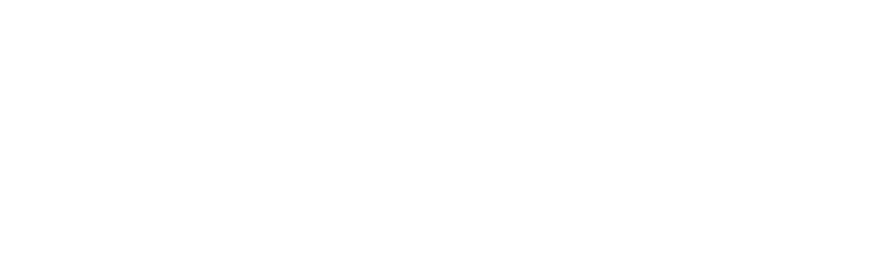 FLEX Auto Styling